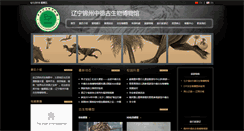 Desktop Screenshot of dinosaurchina.com