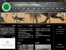 Tablet Screenshot of dinosaurchina.com